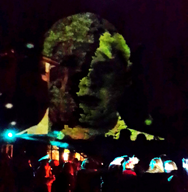 árbol mapeado mapping sobre vegatación